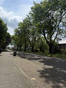 IMG_9921.jpeg