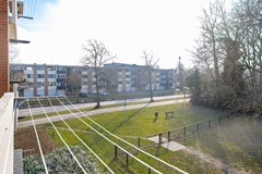 IMG_9666_zoominfoto_20260218.jpg