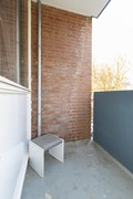IMG_9667_zoominfoto_20260218.jpg