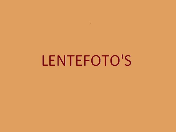 LENTEFOTO'S.jpg