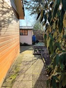 IMG_1246.jpeg