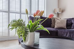 20250827,Donaldducklaan 18, Almere, FOCUSOPWONEN (11 of 57).jpg