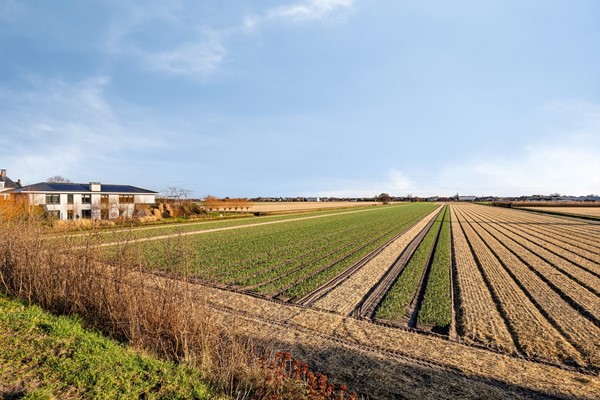 Medium property photo - Regenvlietweg 47, 2191 BB De Zilk