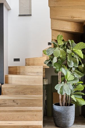 Medium property photo - Regenvlietweg 47, 2191 BB De Zilk