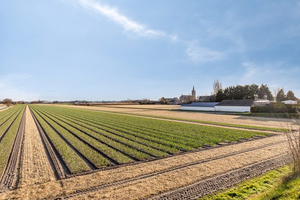 Medium property photo - Regenvlietweg 47, 2191 BB De Zilk