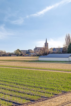 Medium property photo - Regenvlietweg 47, 2191 BB De Zilk