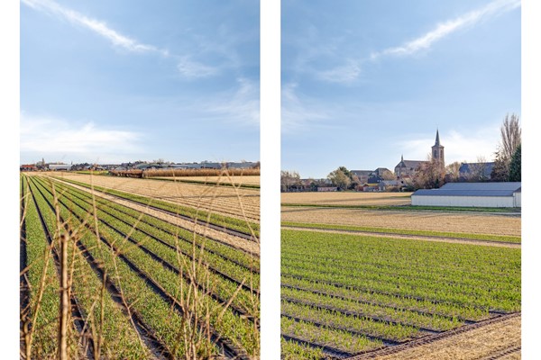 Medium property photo - Regenvlietweg 47, 2191 BB De Zilk