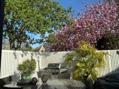 IMG_9244.jpeg