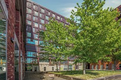 Rented: Veembroederhof, 1019 HD Amsterdam