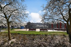 Witte de Withstraat 32A 27.JPG