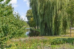 Verboomstraat 120 A 05.JPG