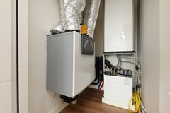 Zodiakplein 93 39.JPG