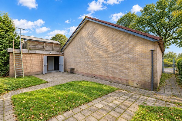 terrein-gebouw.jpg