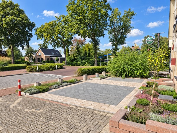 terrein.jpg