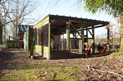 DSC07632.JPG