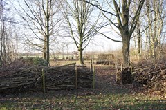 DSC07636.JPG