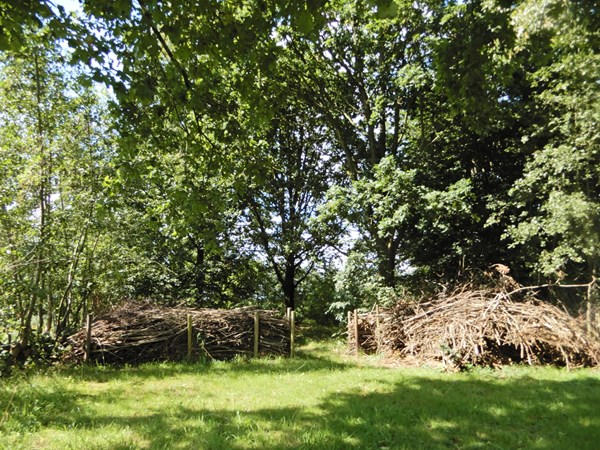 Medium property photo - Wolfsnest 6, 5161 PP Sprang-Capelle