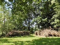 DSCN8707.JPG