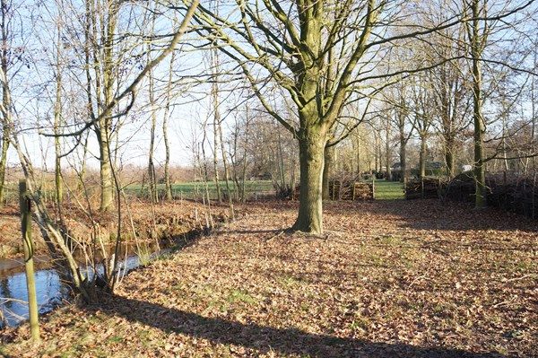 Medium property photo - Wolfsnest 6, 5161 PP Sprang-Capelle
