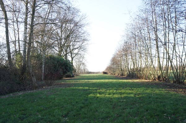 Medium property photo - Wolfsnest 6, 5161 PP Sprang-Capelle