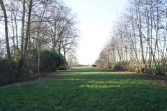 DSC07645.JPG