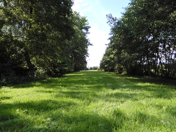 Medium property photo - Wolfsnest 6, 5161 PP Sprang-Capelle