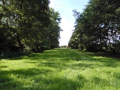 DSCN8699.JPG