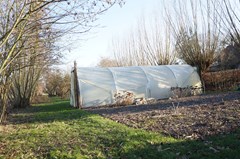 DSC07646.JPG