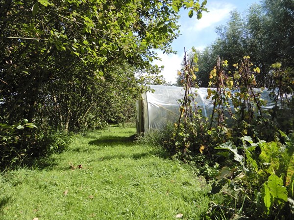 Medium property photo - Wolfsnest 6, 5161 PP Sprang-Capelle