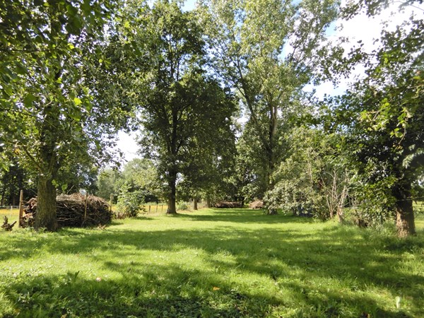Medium property photo - Wolfsnest 6, 5161 PP Sprang-Capelle