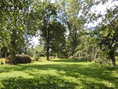 DSCN8706.JPG
