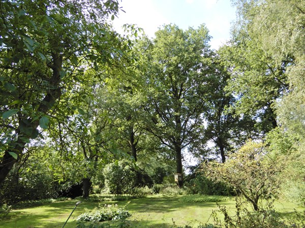 Medium property photo - Wolfsnest 6, 5161 PP Sprang-Capelle