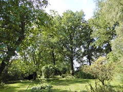 DSCN8727.JPG