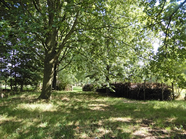 Medium property photo - Wolfsnest 6, 5161 PP Sprang-Capelle