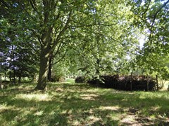 DSCN8711.JPG
