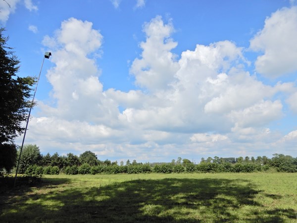 Medium property photo - Wolfsnest 6, 5161 PP Sprang-Capelle