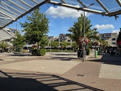 IMG_6298.jpeg