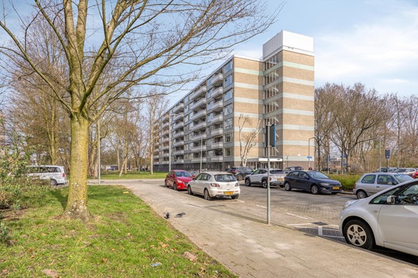 Everaertstraat873067VERotterdam-01.jpg