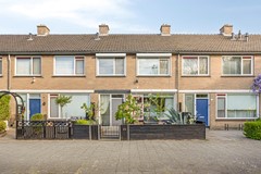 Heidekruid253068rtRotterdam-03.jpg