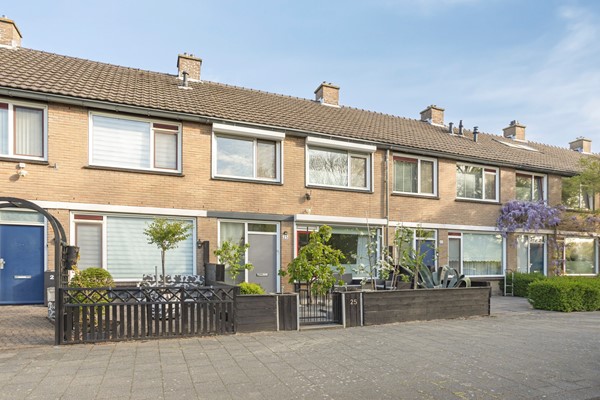 Heidekruid253068rtRotterdam-02.jpg