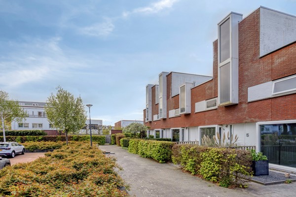 Rhodoshof33059XMRotterdam-02.jpg