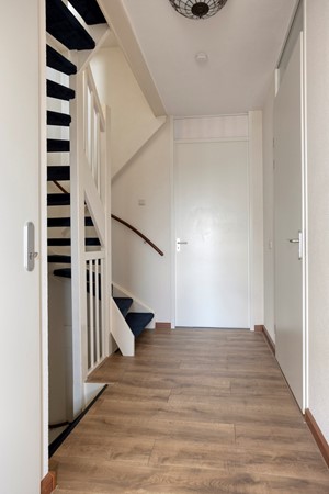 Rhodoshof33059XMRotterdam-20.jpg