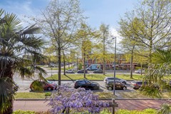 LaanvanAvantGarde2343059RARotterdamNL-56.jpg