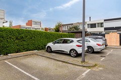 Duindoorn253068MGRotterdamNL-40.jpg