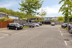 Duindoorn253068MGRotterdamNL-41.jpg