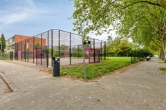 Duindoorn253068MGRotterdamNL-42.jpg