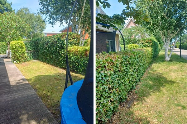 Medium property photo - Godfried Bomansweg 29, 3446 ZM Woerden