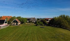 DJI_0502.jpg