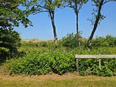20250614_122110.jpg
