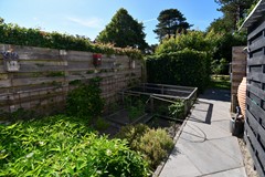 DSC_1423.jpg